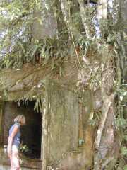 DSCN0130