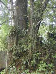 DSCN0132