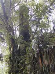 DSCN0136