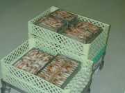 Mahajunga_Juin_01_f4