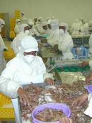 Mahajunga_Juin_01_f8