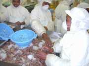 Mahajunga_Juin_01_g1