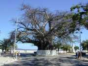 Mahajunga_Juin_01_g7