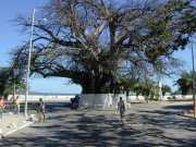 Mahajunga_Juin_01_g9