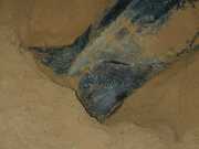 DSCN0027