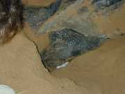DSCN0028