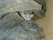 DSCN0038