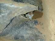 DSCN0040