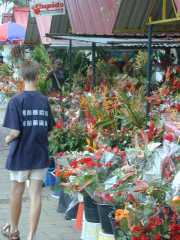 DSCN0027