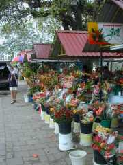 DSCN0028