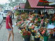 DSCN0030