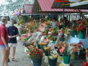 DSCN0031
