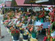 DSCN0033