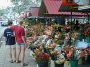 DSCN0034