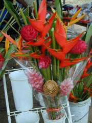 DSCN0038
