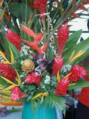 DSCN0039