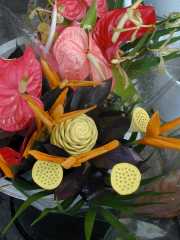 DSCN0041