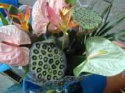 DSCN0042