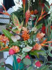 DSCN0043