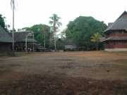 W_321_ANTECUM_PATA