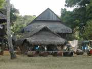 W_323j_ANTECUM_PATA