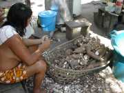 W_425c1_Manioc
