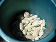 W_425c2_Manioc