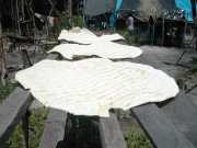 W_431_Manioc