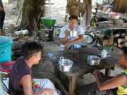 W_432_Manioc