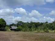 W_599_HELICO