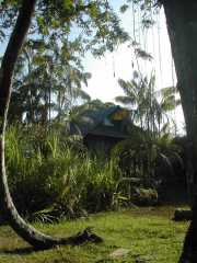 W_622_ANTECUM_PATA