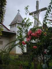 Saul_a022
