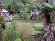 Saul_a026