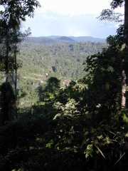 Saul_a030