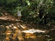 Saul_a035a