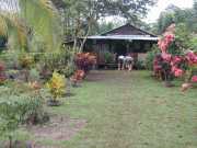 Saul_b073