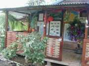 Saul_b076