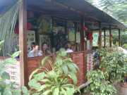 Saul_b077