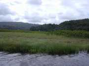 DSCN0015