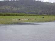 DSCN0020