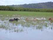DSCN0021