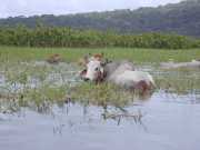 DSCN0027