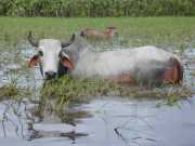 DSCN0029