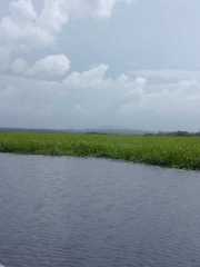 DSCN0036