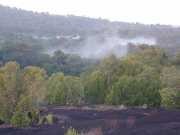 Matarony-14