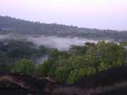Matarony-8