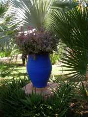 MAROC_03_12-1