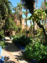 MAROC_03_12-12