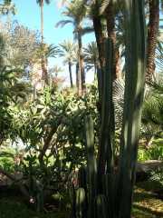 MAROC_03_12-2