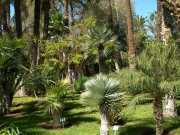 MAROC_03_12-21